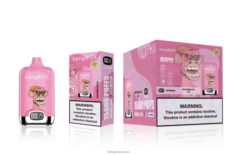 Bang Box Suisse - Bang Box 15000 bouffées J80R445 glace à la pastèque